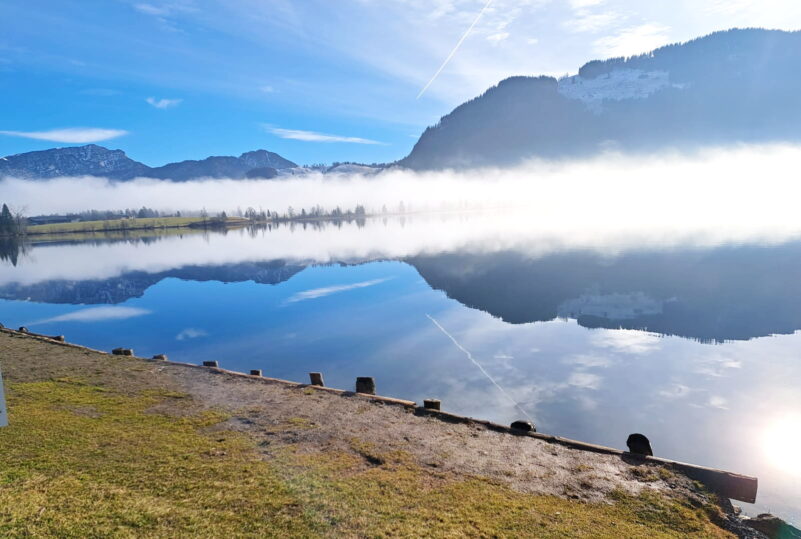 2023-von Wolfgang Bude