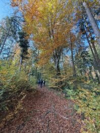 Kinder- und Jugendausflug Griesstaett (4)