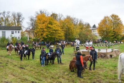 Leonhardiritt Bad Goegging (1)