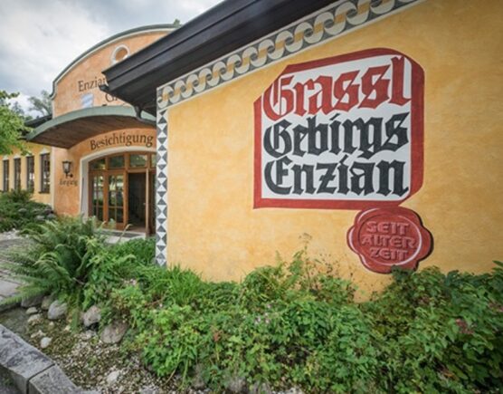 Screenshot_20241007_102441_Samsung Internet