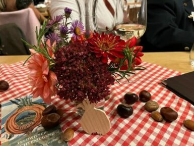 feldwieser jugendhoagart 2024 3