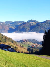 04f192a8-d45c-4be2-bab0-8017b00526d3