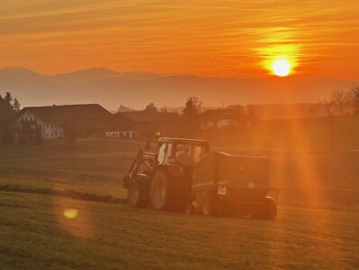 1Ernte bei Neukirchen 2