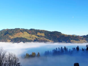 1e2118c1-1be2-4b9e-9aaa-9cff57b0d688