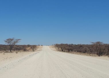 20241027_122655_m_HelAmb