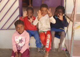 20241028_113230_m_HelAmb