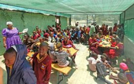 20241028_130334_m_HelAmb