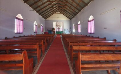 20241028_133433_m_HelAmb