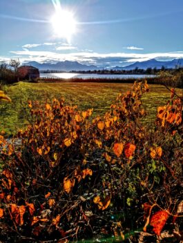 2ceecef6-cbf9-4a9f-9574-92a6d522088b