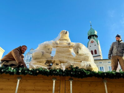 Bären stark1_Foto H. Reiter