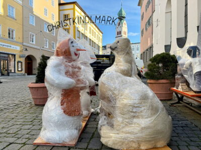 Bären stark3_Foto H. Reiter