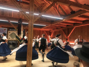 Vereinsehrentag regensburg (1)