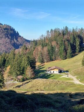 a50e3986-0f9f-4d30-ba6a-9720b00dace8