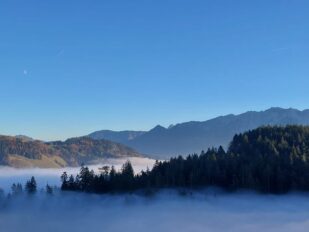 b347dfaf-a204-42aa-a1c0-bc39a1cca33d