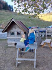 d7c74a9e-17ce-419b-9556-e35dc6a5674c