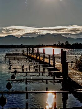 febd624f-6d78-4662-a770-8fde8576cd82