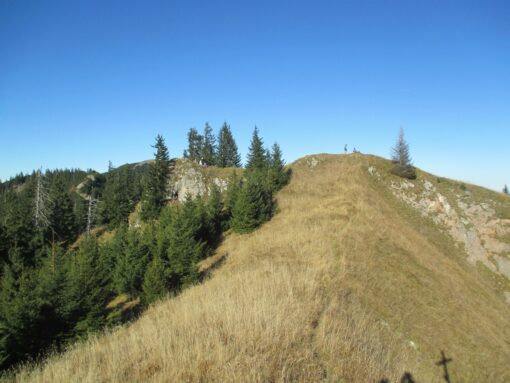 von Brand auf den Gröhrkopf