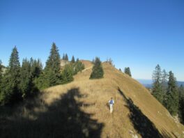 von Brand auf den Gröhrkopf