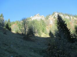 von Brand auf den Gröhrkopf