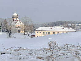 1Kirche-Elefantengras 2