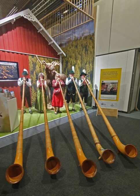 20250125_160548_mk HelAmb