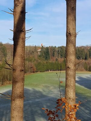 24517a7c-3a2e-458a-8389-d3df1d127a0c