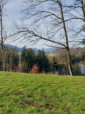 2b738fd6-fe99-4ca2-afe2-a6bf7e82ec29