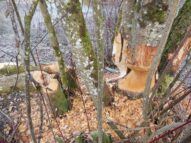 4d9a43b3-4e15-4770-acb6-707ac494cc2b