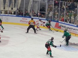 69f3b207-be0a-420e-86b3-043db8860a60