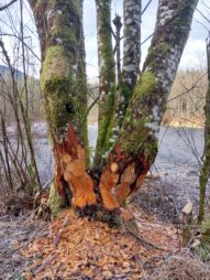 7055ab5d-7818-4837-866d-ef72f5146d5a