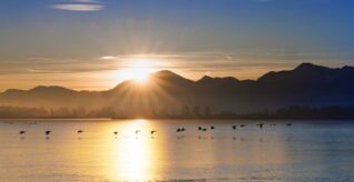 AktNatBeo-250101-ah-03-1. Januar 2025 Schafwaschner Bucht