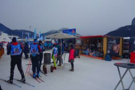 DSC03918_klein_aufgehellt