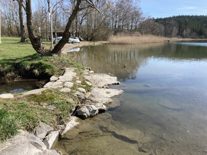 Tenglinger Bach Mündung Tachinger See