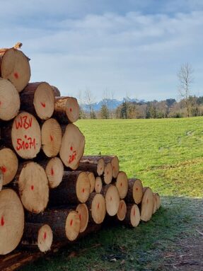 b4651ad8-e2d1-4ae5-9698-4c6ba788cbc3