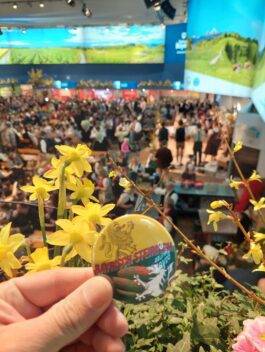 bayrisch steirischer dialog 4