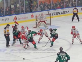 30e8fc7b-adf9-46ef-bc55-e0ab849e7d48