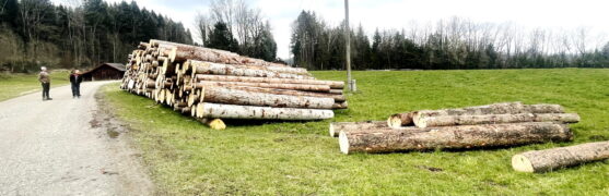 1Holzspende kl - breit 2