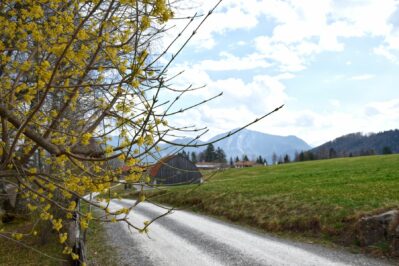 FLM_Glentleiten_Bauer_Frühling_klein