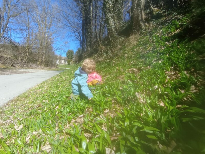 PHOTO-2025-03-19-12-43-48