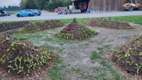 humane landwirtschaft (2)