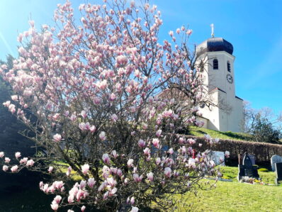 1Wildenwart-Frühjahr