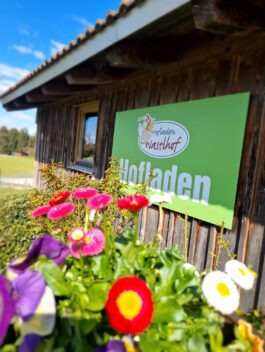 20250406_110028(0)_resized