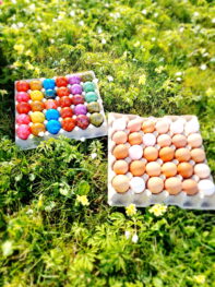 20250406_110548_resized_1