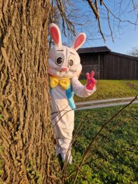 20250410_191901_resized