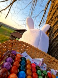 20250410_191928_resized