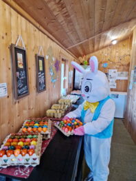 20250410_194013_resized