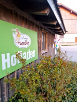 20250410_194223_resized