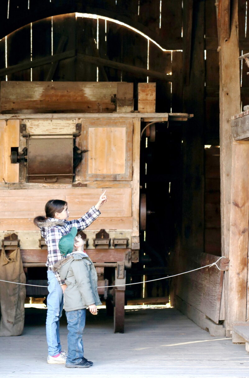 Bezirk Oberbayern, FLM Amerang