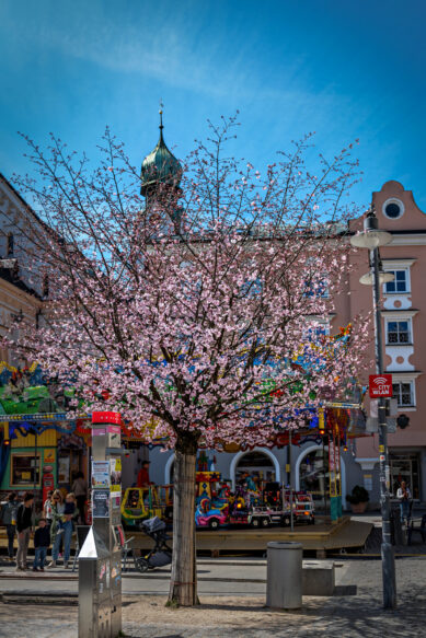 Fruehling-Rosenheim-4