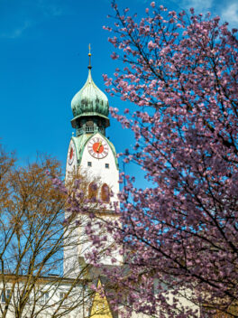 Fruehling-Rosenheim-8